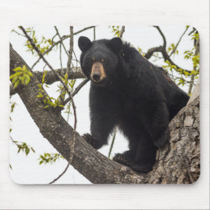 Climbing Black Bear Mouse Mat