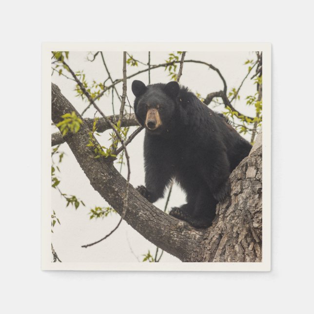 Climbing Black Bear Napkin (Front)