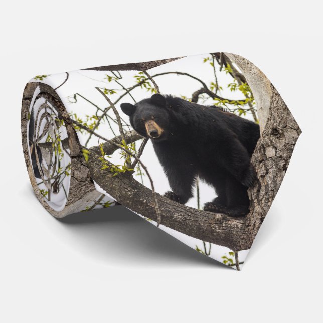 Climbing Black Bear Tie (Rolled)