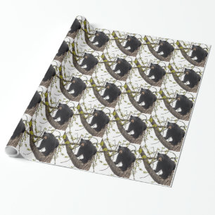 Climbing Black Bear Wrapping Paper