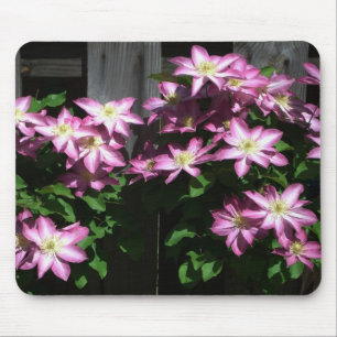 Climbing Clematis Purple Spring Flowers Mouse Mat