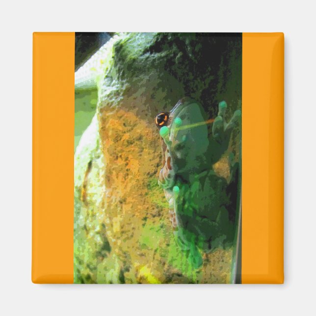 Climbing Frog CB Magnet (Front)