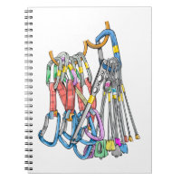 Climbing rack or quickdraws and wires