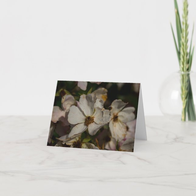 Climbing Rose Thank You Card (Front)
