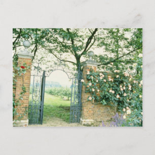 Climbing Roses Beside Wrought-Iron Gate flower Postcard