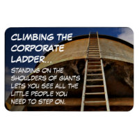 Climbing the corporate ladder gives perspective