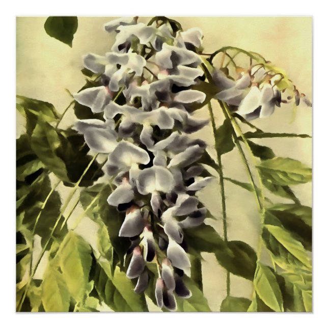 Climbing Windblown Wisteria Vine Acrylic Painting Poster (Front)