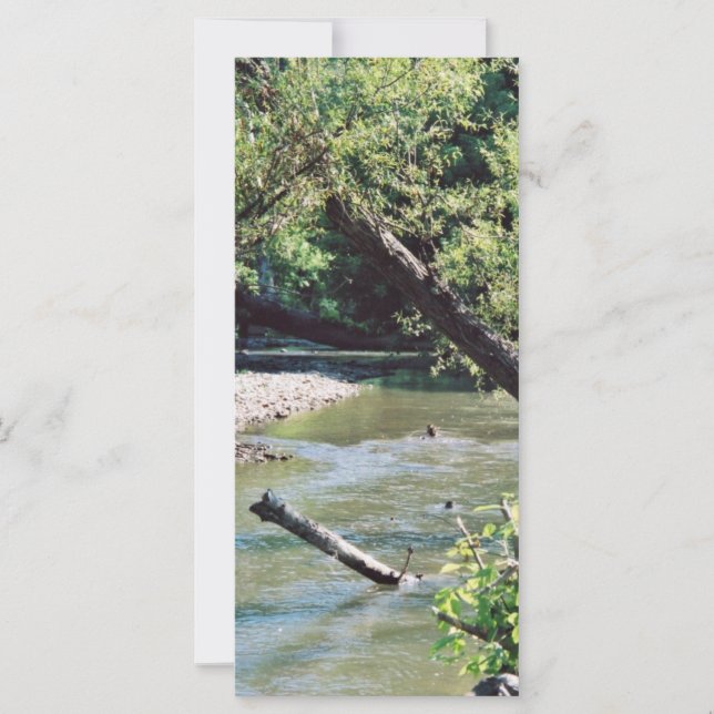 Clinch River Scenic (Front)