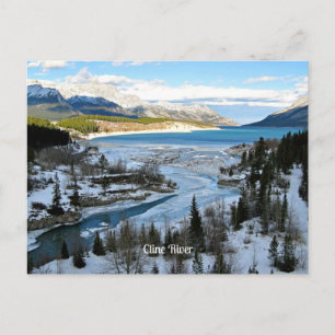 Cline River, Alberta, Canada Postcard