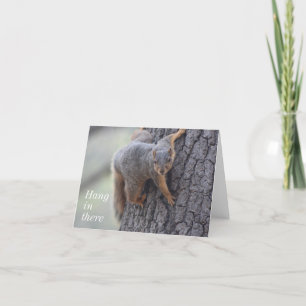 Clinging Squirrel Card