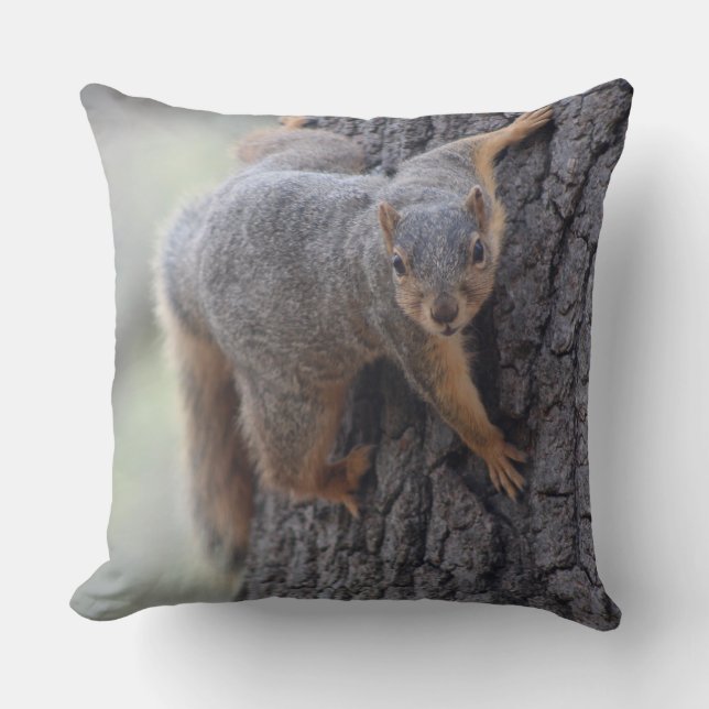 Clinging Squirrel Cushion (Front)