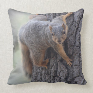Clinging Squirrel Cushion