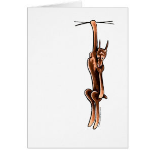 Clingy Red Rust Doberman Pinscher