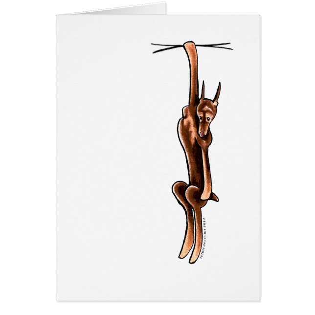 Clingy Red Rust Doberman Pinscher (Front)