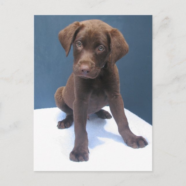 Clint Postcard (Front)