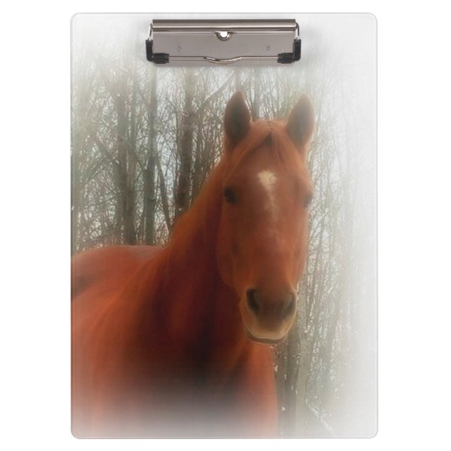 Clipboard/Horse Clipboard (Front)