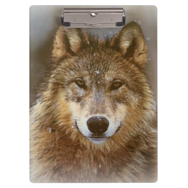 Clipboard/Wolf Clipboard (Front)