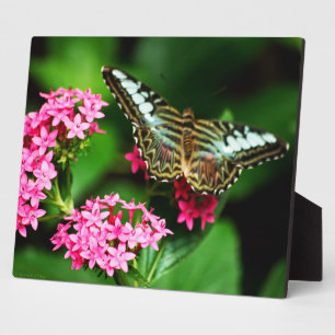 Clipper on Pentas 1 Plaque