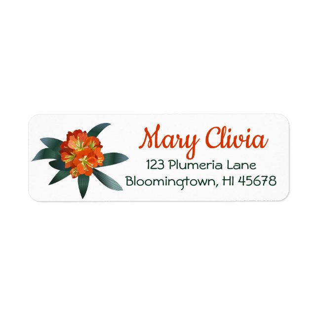 Clivia Floral Return Address Labels Orange Flower (Front)