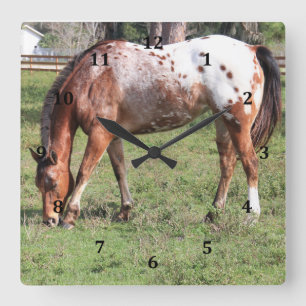Clock, Appaloosa Horse Square Wall Clock