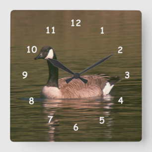 Clock - Canadian Goose