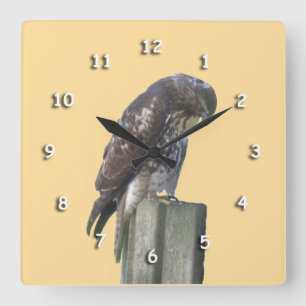 Clock - Falcon on Post