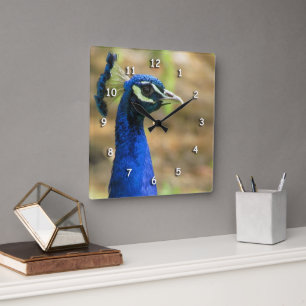 Clock - Peacock Portrait