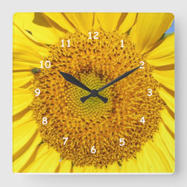 Clock - Sunflower Florets (Front)