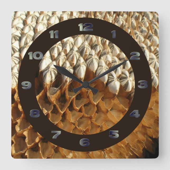 Clock - Sunflower Seeds with Circle (Front)