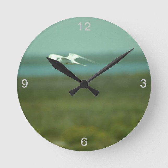 Clock - Tern in Flight (Front)
