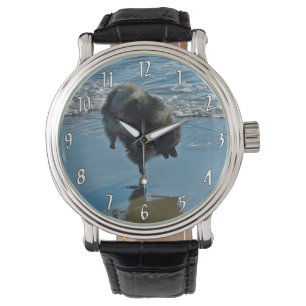 clock watch
