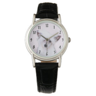 clock watch