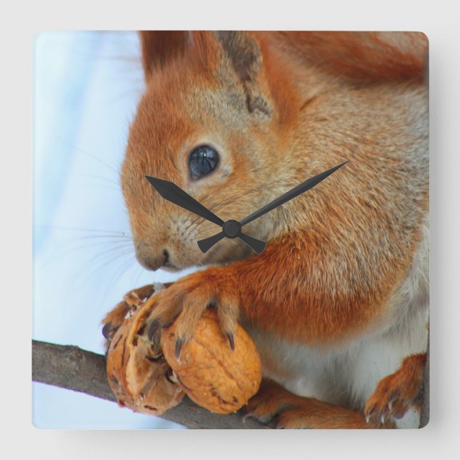 clock with squirrel (Front)