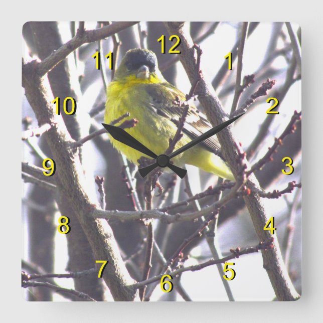 Clock - Yellow Bird in Branches (Front)