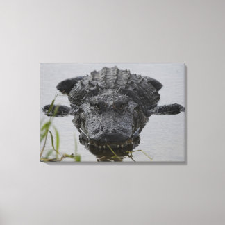 Close and personal canvas print