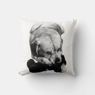 Close & Content Cushion