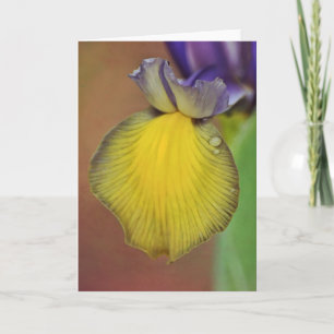 Close Dutch Iris Blank Note Card
