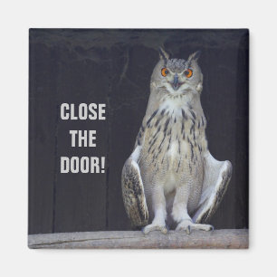 Close The Door! Magnet