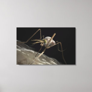Close up 3d mosquito biting canvas print