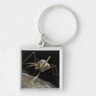 Close up 3d mosquito biting key ring