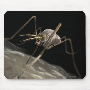 Close up 3d mosquito biting mouse mat