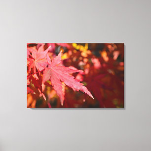 Close up Autumn Fall Red Orange Maple Leaf Photo Canvas Print