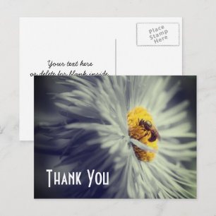 Close Up Bee On Flower Thank You Postcard