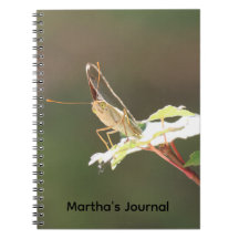 Close Up Big Eyed Butterfly Personalised Notebook