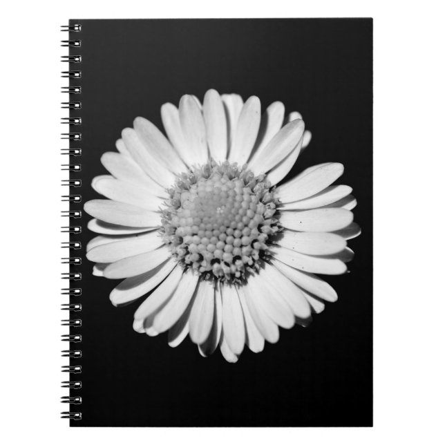 Close-up black and white daisy notebook (Front)