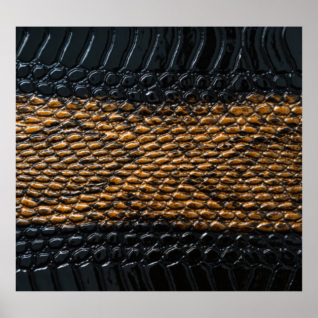 Close-up black snake skin texture poster (Front)