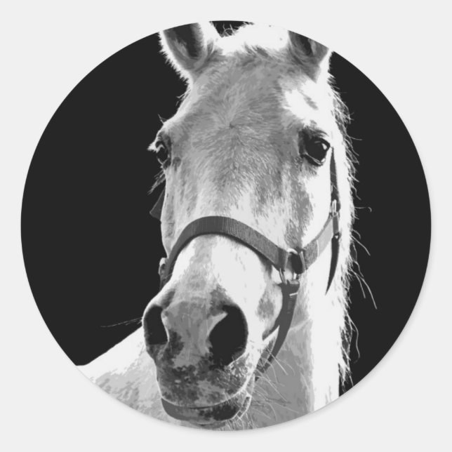 Close-up Black White Horse in Night Classic Round Sticker (Front)