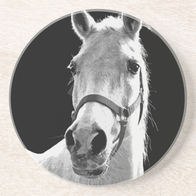 Close-up Black White Horse in Night Coaster (Front)