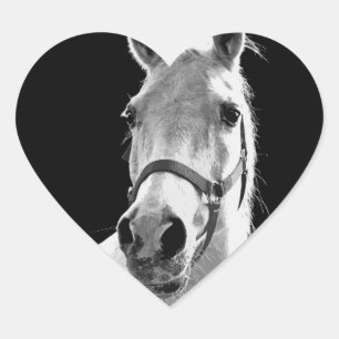 Close-up Black White Horse in Night Heart Sticker