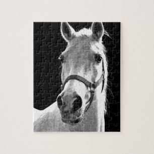 Close-up Black White Horse in Night Jigsaw Puzzle